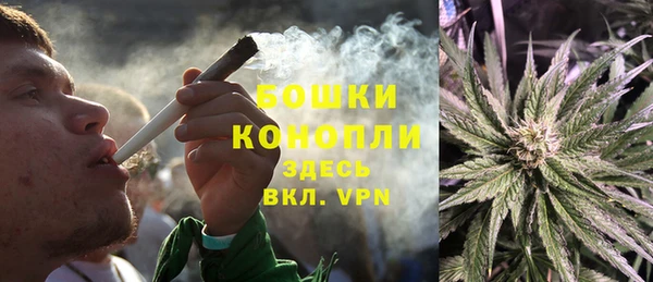 ПСИЛОЦИБИНОВЫЕ ГРИБЫ Армянск