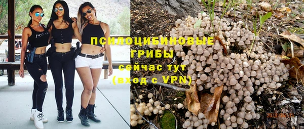 mix Арсеньев